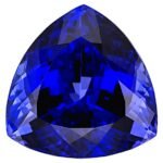 Tanzanite 23.49x23.41mm Trillion 54.65ct